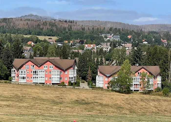 公寓 Harztraum-6 布劳恩拉格