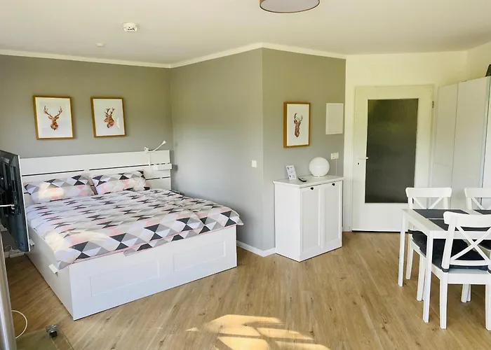 公寓 Harztraum-6 布劳恩拉格